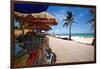 Fruit Stands on Playa Del Carmen, Mexico-George Oze-Framed Photographic Print