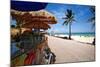 Fruit Stands on Playa Del Carmen, Mexico-George Oze-Mounted Photographic Print