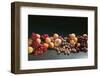 Fruit Still Life with Stone-Fruit and Berries-Foodcollection-Framed Photographic Print