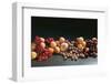 Fruit Still Life with Stone-Fruit and Berries-Foodcollection-Framed Photographic Print