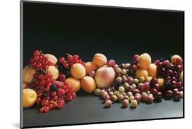 Fruit Still Life with Stone-Fruit and Berries-Foodcollection-Mounted Photographic Print