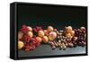 Fruit Still Life with Stone-Fruit and Berries-Foodcollection-Framed Stretched Canvas