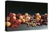 Fruit Still Life with Stone-Fruit and Berries-Foodcollection-Stretched Canvas