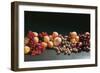 Fruit Still Life with Stone-Fruit and Berries-Foodcollection-Framed Photographic Print