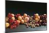 Fruit Still Life with Stone-Fruit and Berries-Foodcollection-Mounted Photographic Print