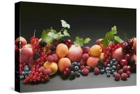 Fruit Still Life with Stone-Fruit, Berries and Leaves-Foodcollection-Stretched Canvas