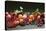 Fruit Still Life with Stone-Fruit, Berries and Leaves-Foodcollection-Stretched Canvas