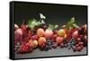 Fruit Still Life with Stone-Fruit, Berries and Leaves-Foodcollection-Framed Stretched Canvas