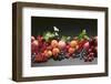 Fruit Still Life with Stone-Fruit, Berries and Leaves-Foodcollection-Framed Photographic Print