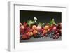 Fruit Still Life with Stone-Fruit, Berries and Leaves-Foodcollection-Framed Photographic Print