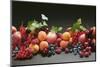 Fruit Still Life with Stone-Fruit, Berries and Leaves-Foodcollection-Mounted Photographic Print