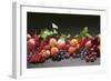 Fruit Still Life with Stone-Fruit, Berries and Leaves-Foodcollection-Framed Photographic Print