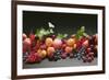 Fruit Still Life with Stone-Fruit, Berries and Leaves-Foodcollection-Framed Photographic Print