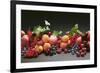 Fruit Still Life with Stone-Fruit, Berries and Leaves-Foodcollection-Framed Photographic Print