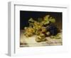 Fruit Still Life, with White and Blue Grapes on a Marble Table, 1834-Johann Wilhelm Preyer-Framed Giclee Print