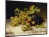 Fruit Still Life, with White and Blue Grapes on a Marble Table, 1834-Johann Wilhelm Preyer-Mounted Giclee Print