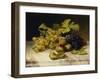 Fruit Still Life, with White and Blue Grapes on a Marble Table, 1834-Johann Wilhelm Preyer-Framed Giclee Print