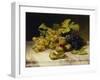 Fruit Still Life, with White and Blue Grapes on a Marble Table, 1834-Johann Wilhelm Preyer-Framed Giclee Print