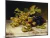 Fruit Still Life, with White and Blue Grapes on a Marble Table, 1834-Johann Wilhelm Preyer-Mounted Giclee Print