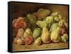 Fruit Still Life-Johann Friedrich August Tischbein-Framed Stretched Canvas