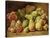 Fruit Still Life-Johann Friedrich August Tischbein-Stretched Canvas