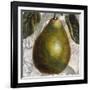 Fruit Study II-Dennis Carney-Framed Giclee Print