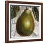 Fruit Study II-Dennis Carney-Framed Giclee Print