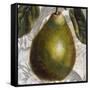 Fruit Study II-Dennis Carney-Framed Stretched Canvas