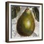 Fruit Study II-Dennis Carney-Framed Giclee Print