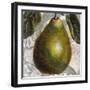 Fruit Study II-Dennis Carney-Framed Giclee Print