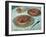 Fruit Tarts, 1882-Claude Monet-Framed Giclee Print