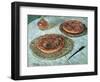 Fruit Tarts, 1882-Claude Monet-Framed Giclee Print