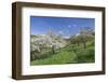 Fruit-Tree Blossom, Strumpfelbach, Baden Wurttemberg, Germany-Markus Lange-Framed Photographic Print