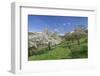 Fruit-Tree Blossom, Strumpfelbach, Baden Wurttemberg, Germany-Markus Lange-Framed Photographic Print