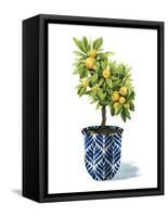 Fruit Tree I-Grace Popp-Framed Stretched Canvas