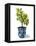 Fruit Tree I-Grace Popp-Framed Stretched Canvas