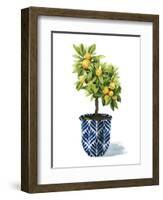 Fruit Tree I-Grace Popp-Framed Art Print