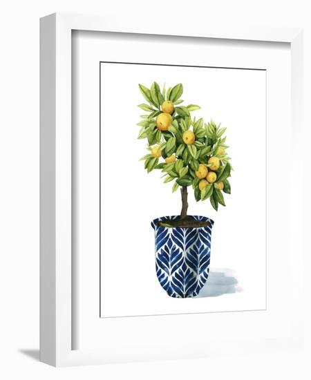 Fruit Tree I-Grace Popp-Framed Art Print