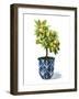 Fruit Tree I-Grace Popp-Framed Art Print