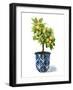 Fruit Tree I-Grace Popp-Framed Art Print