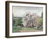 Fruit Tree in Blossom, Bois-Le-Roi-Carl Fredrik Hill-Framed Giclee Print