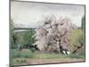 Fruit Tree in Blossom, Bois-Le-Roi-Carl Fredrik Hill-Mounted Giclee Print