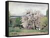 Fruit Tree in Blossom, Bois-Le-Roi-Carl Fredrik Hill-Framed Stretched Canvas