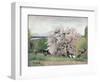 Fruit Tree in Blossom, Bois-Le-Roi-Carl Fredrik Hill-Framed Giclee Print