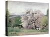 Fruit Tree in Blossom, Bois-Le-Roi-Carl Fredrik Hill-Stretched Canvas