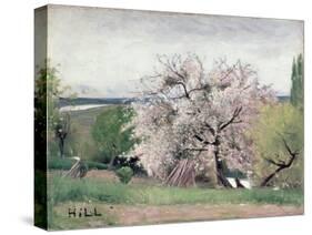 Fruit Tree in Blossom, Bois-Le-Roi-Carl Fredrik Hill-Stretched Canvas