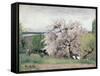 Fruit Tree in Blossom, Bois-Le-Roi-Carl Fredrik Hill-Framed Stretched Canvas