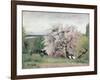 Fruit Tree in Blossom, Bois-Le-Roi-Carl Fredrik Hill-Framed Giclee Print