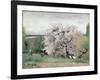 Fruit Tree in Blossom, Bois-Le-Roi-Carl Fredrik Hill-Framed Giclee Print