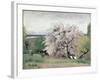 Fruit Tree in Blossom, Bois-Le-Roi-Carl Fredrik Hill-Framed Giclee Print